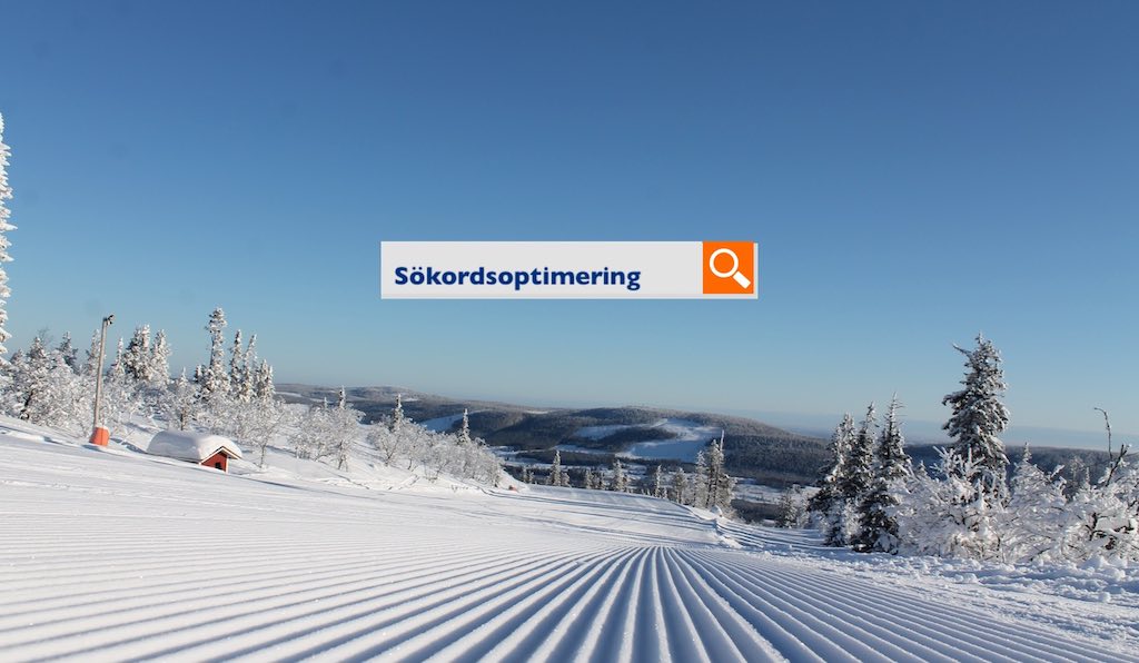 Sökmotoroptimering i fjällen