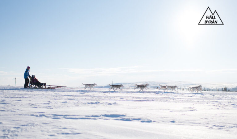 hundspann-destination-vemdalen-fjallbyran