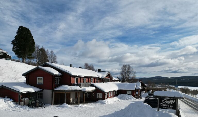 Hållbara företag i besöksnäringen