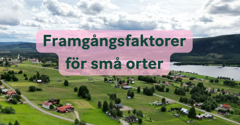 framgangsfaktorer-platsutveckling